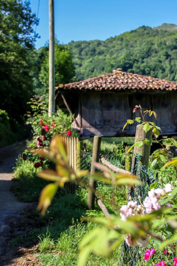 Casa Clarita Villa Caño Dış mekan fotoğraf