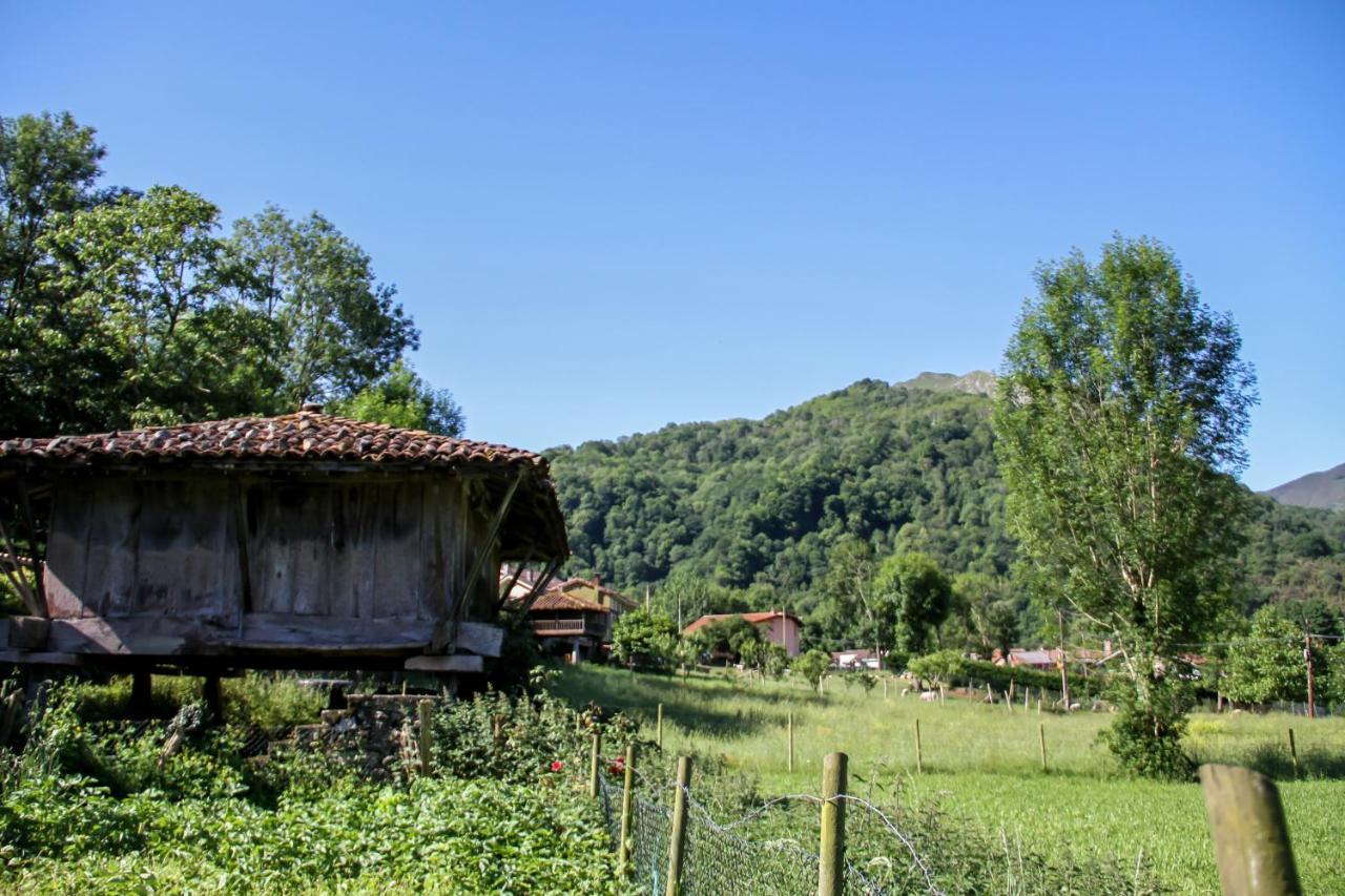 Casa Clarita Villa Caño Dış mekan fotoğraf